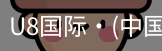 U8国际